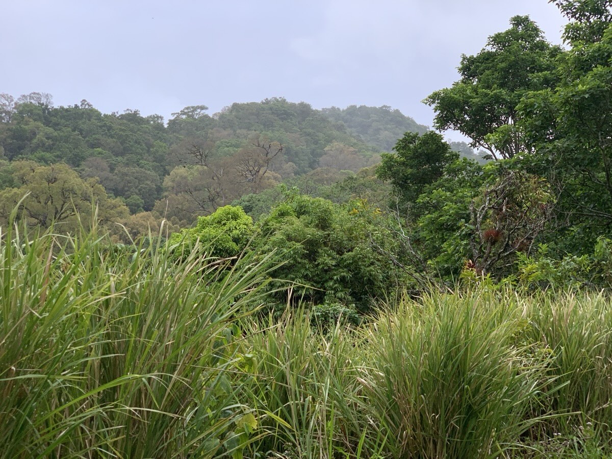 Return from Mirador Piedra de Lino Boquete