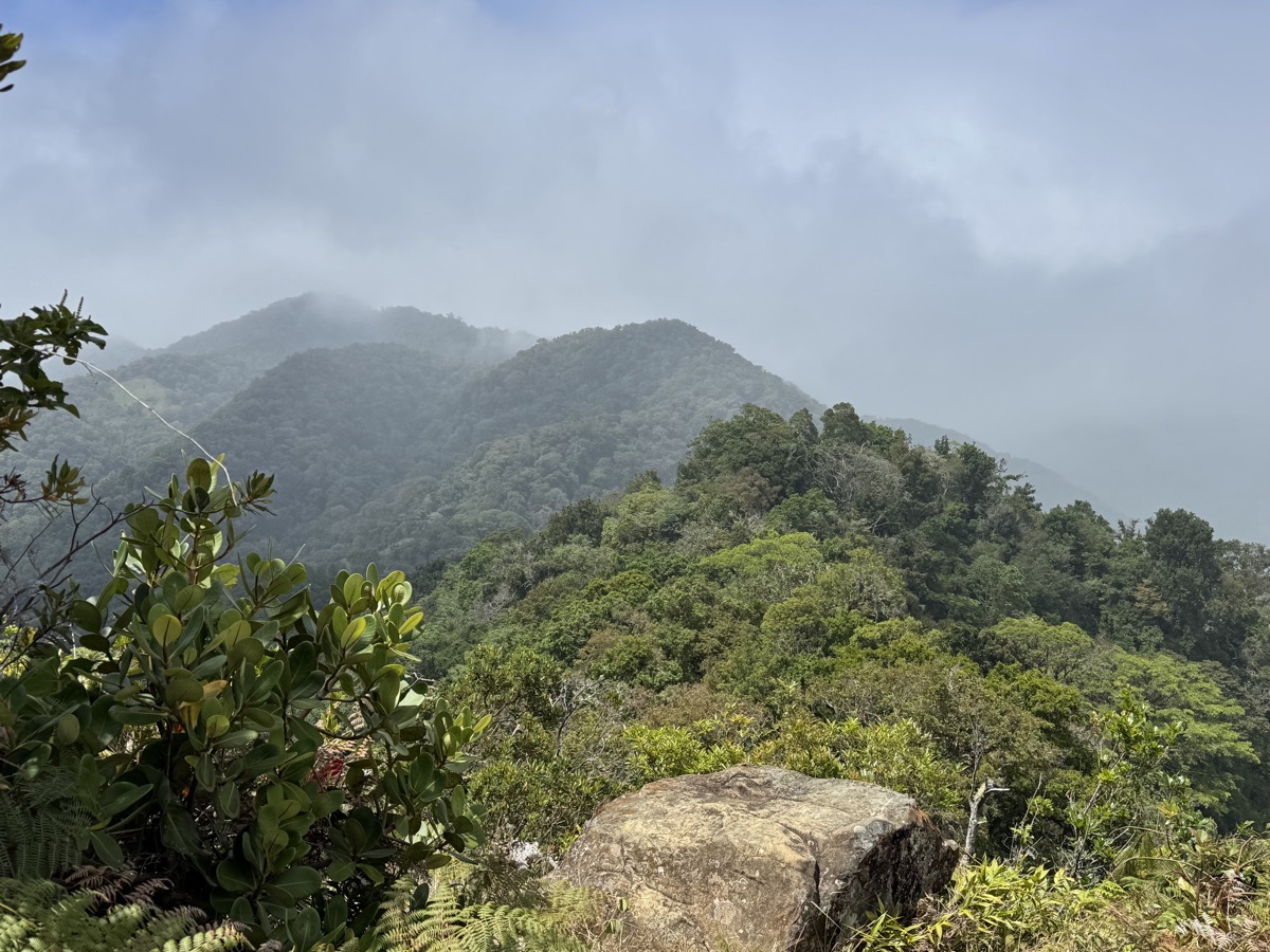 Mirador Piedra de Lino