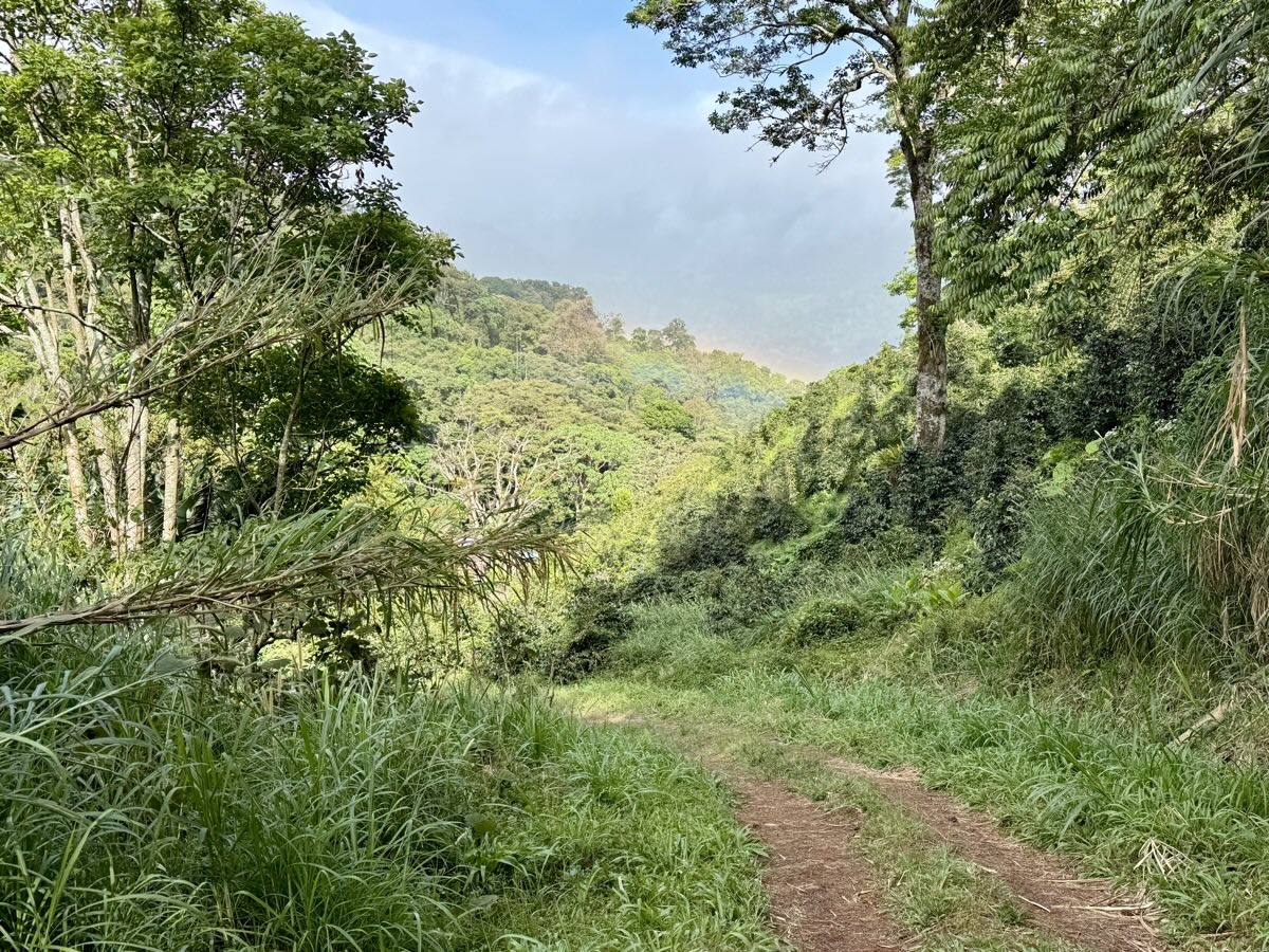 Return from Mirador Piedra de Lino Boquete