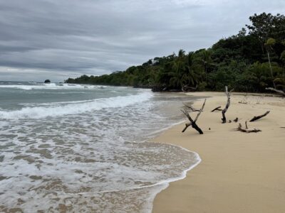 Wizard Beach Bastimentos