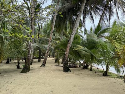 Tolo Beach Bastimentos