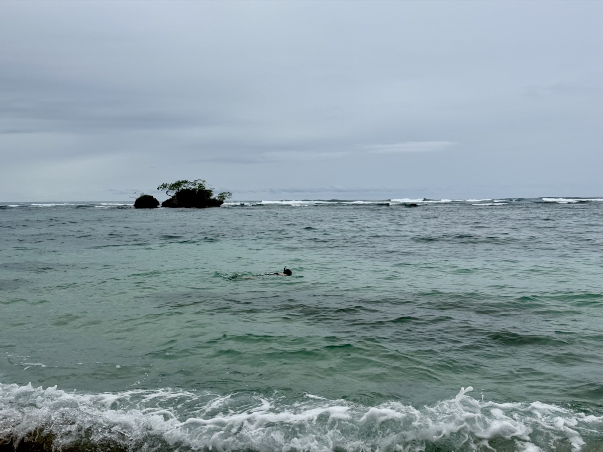 Snorkeling off Tolo Beach, Basimentos